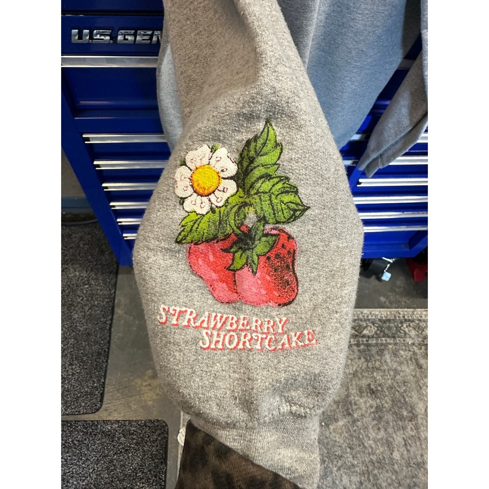 Strawberry Shortcake Graphic Sweatshirt Gray Small Embroidered Sleeve Pullover - Picture 4 of 11